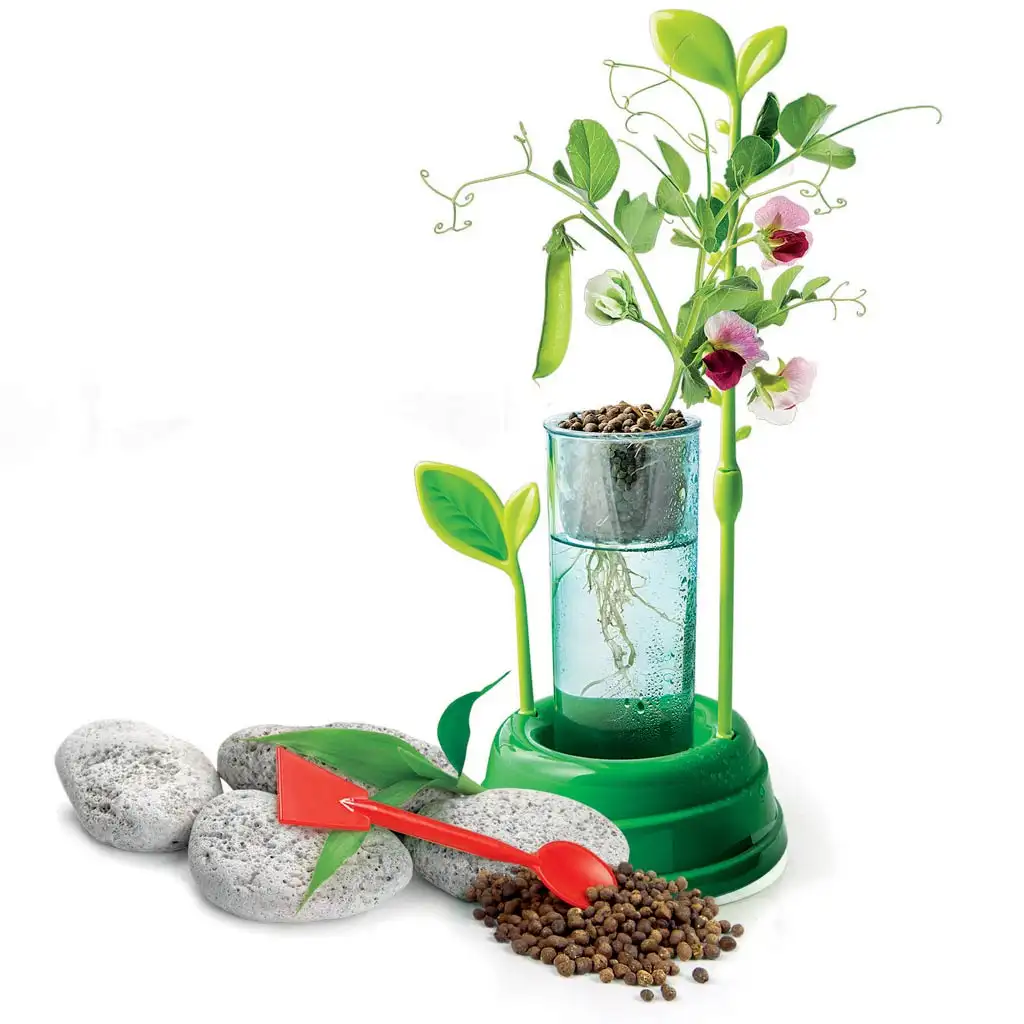 Science&Play: Hydroponiczne laboratorium botaniczne - Clementoni kép 3