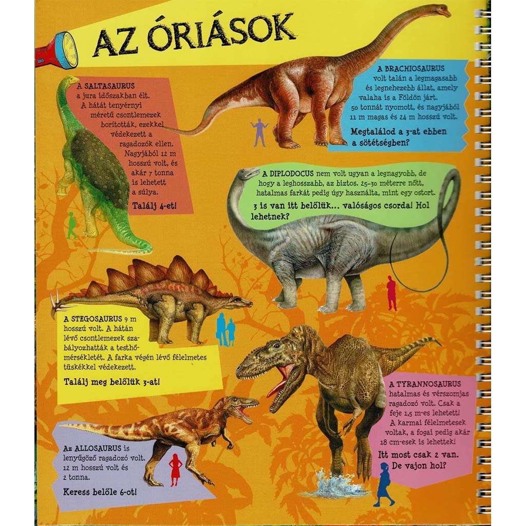 Z latarką – Śladami dinozaurów kép 3