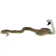 Figurka węża czarna mamba - Bullyland
