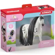 Schleich Horse Club: Piękności Sofii - Figurka ogiera Knabstrupper z czeszącą się grzywą (42622)